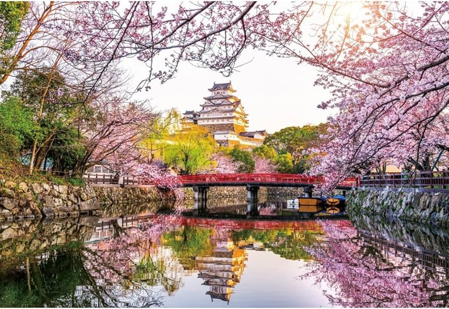 🌺 네즈 신사 철쭉원(네즈진자 츠츠지엔) 이미지 8